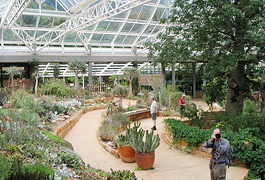 Botanischer Garten Kirstenbosch