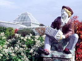 Köcherbaum im Botanischen Garten München