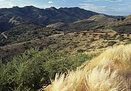 Landschaft am Gamsberg Pass