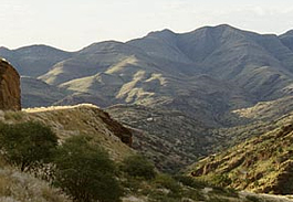 Schlucht mit Köcherbäumen am Gamsberg Pass